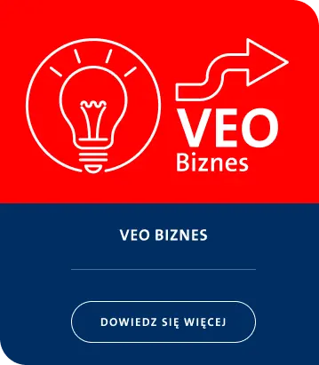 Veo biznes