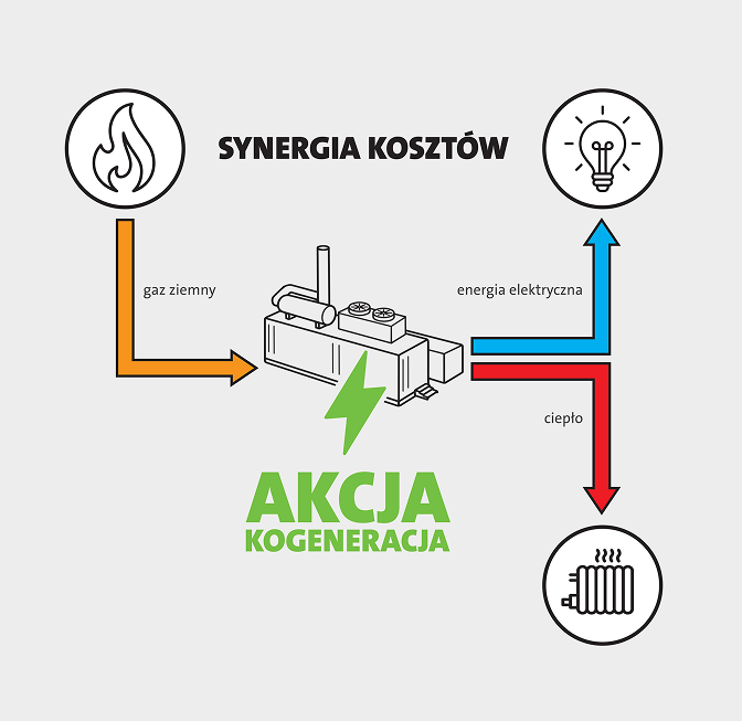 Synergia kosztów