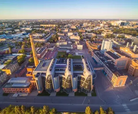rzadowa tarcza dla firm